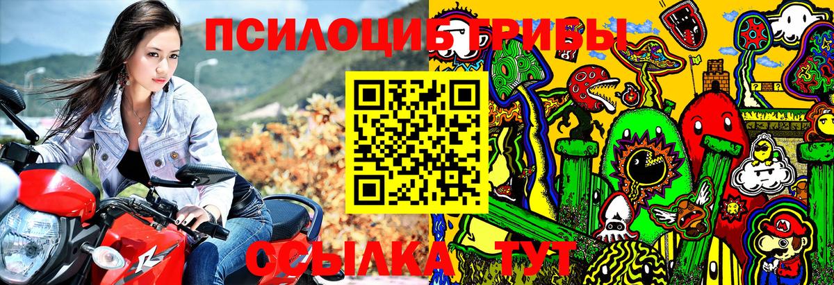 Еманжелинск  Псилоцибиновые грибы MAGIC MUSHROOMS  Вход с VPN 