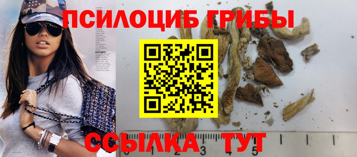 Псилоцибиновые грибы мицелий Еманжелинск